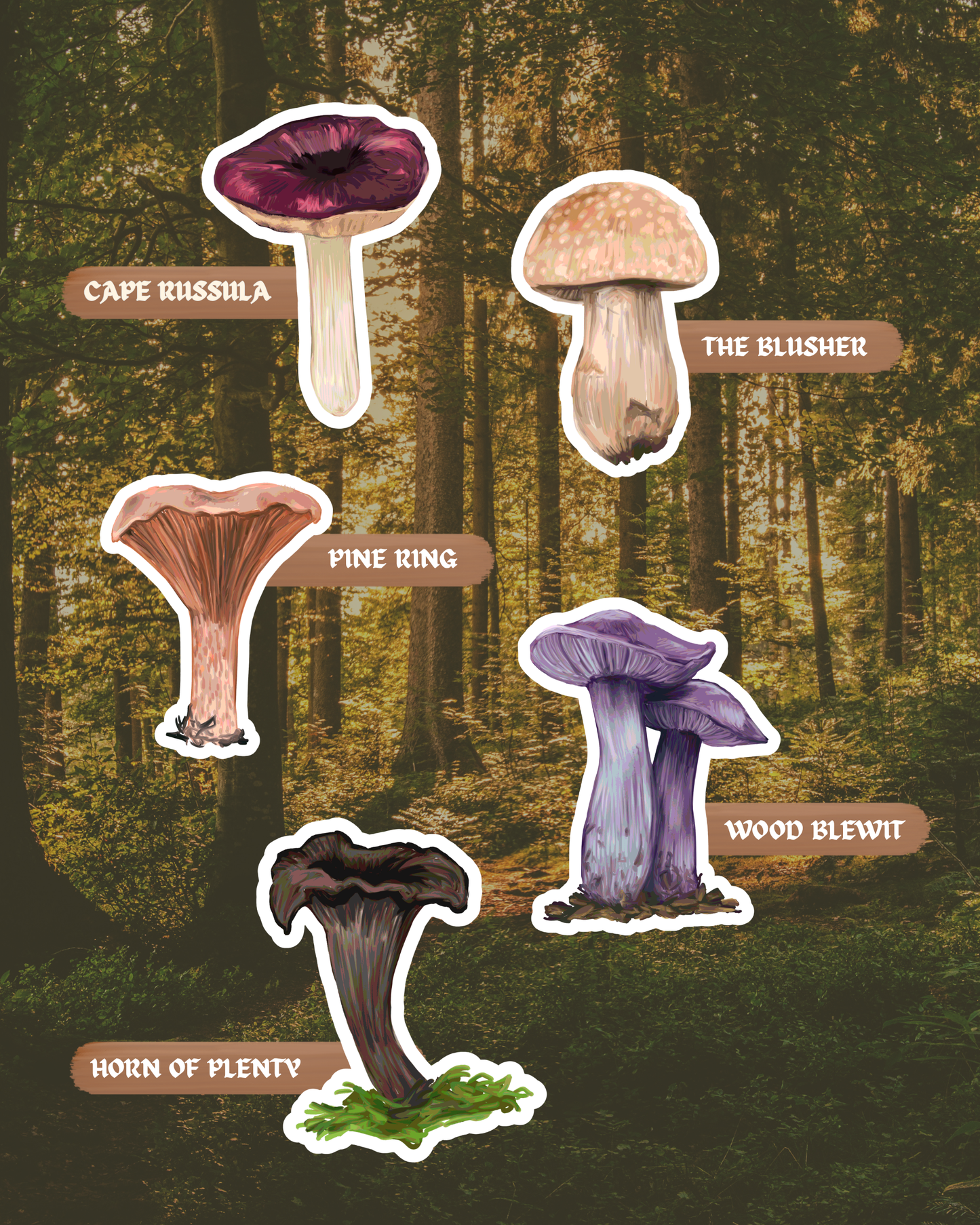 The Forager's Table | Edible Fungi of Southern Africa | Sticker Pack
