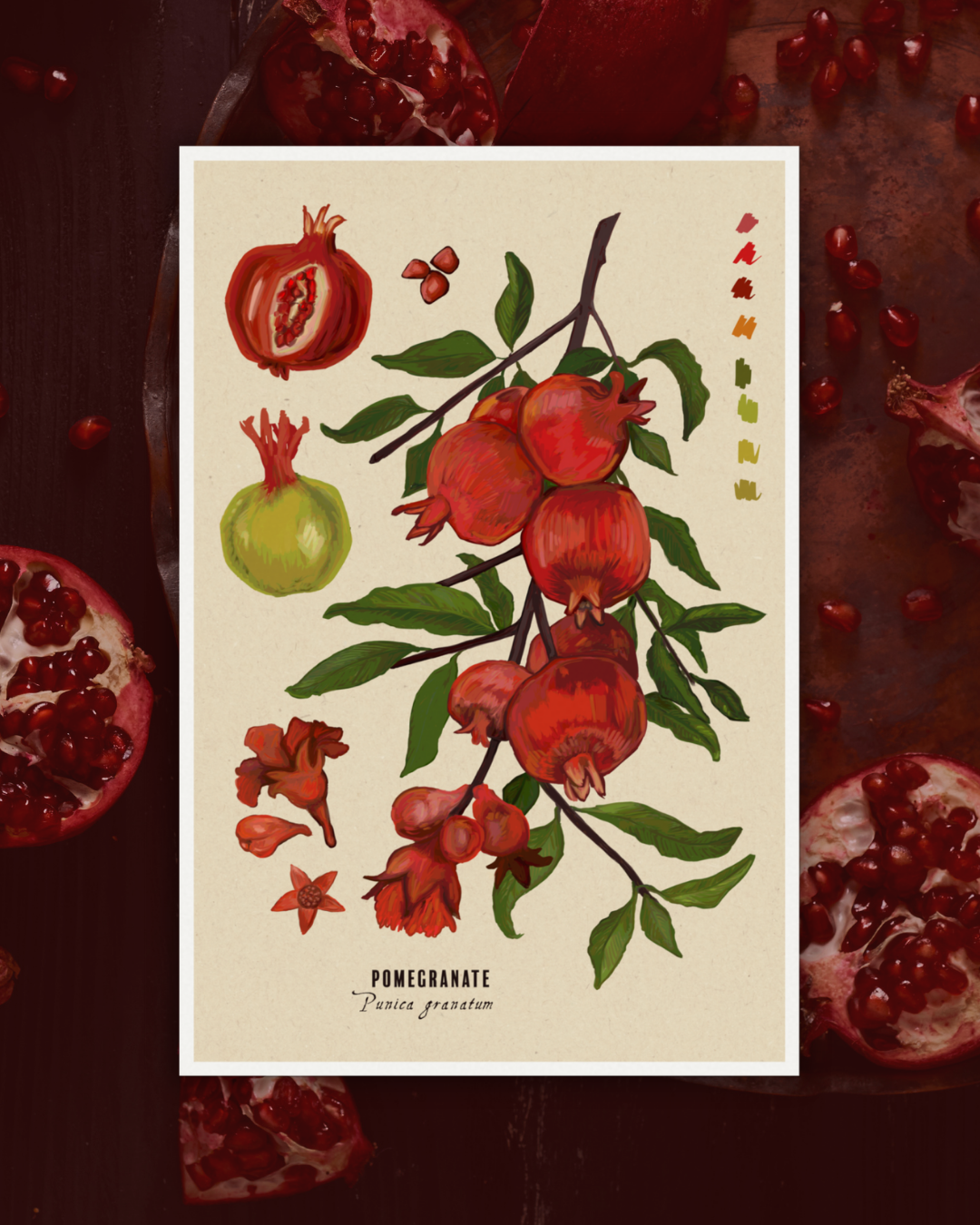 Art Prints