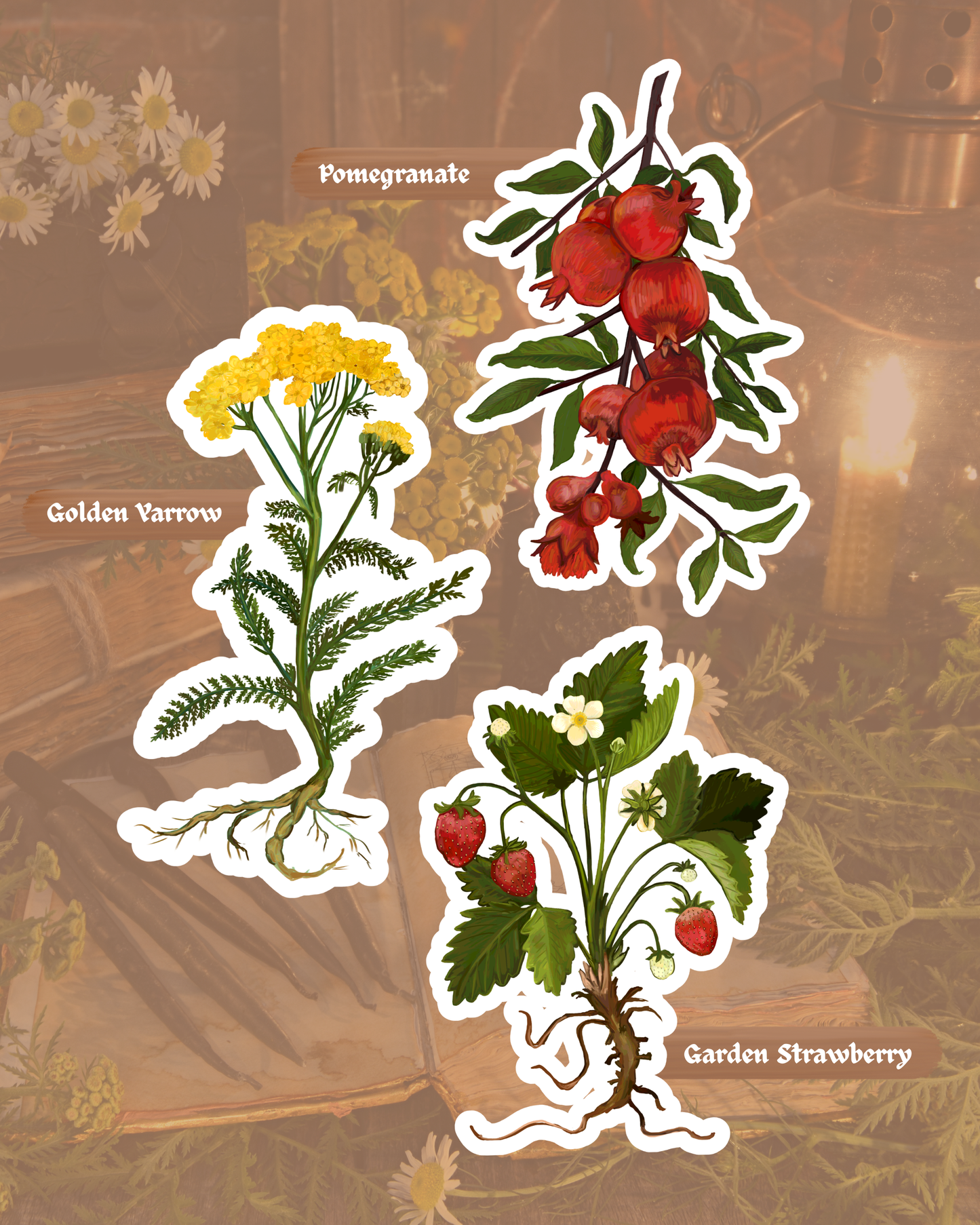 Green Witch Garden Sticker Pack | Vinyl Stickers | Waterproof Glossy Finish