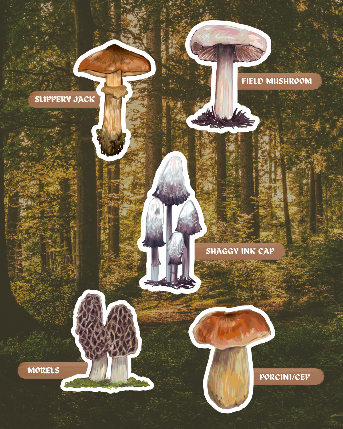 The Forager's Table | Edible Fungi of Southern Africa | Sticker Pack