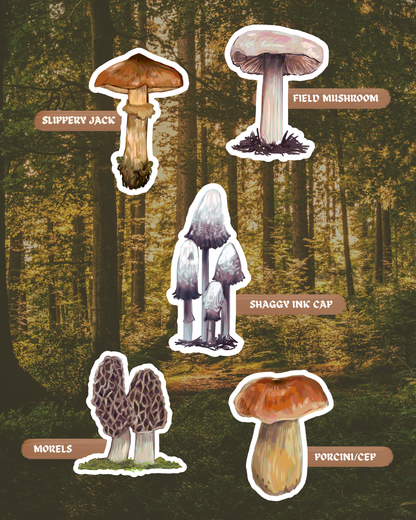 The Forager's Table | Edible Fungi of Southern Africa | Sticker Pack