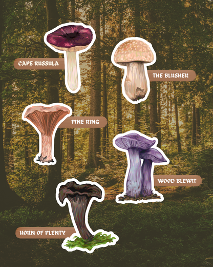 The Forager's Table | Edible Fungi of Southern Africa | Sticker Pack