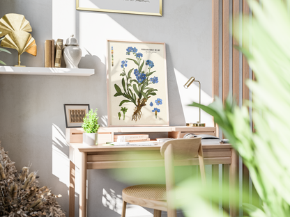 Woodland Forget-me-nots | Botanical Illustration | Art Print