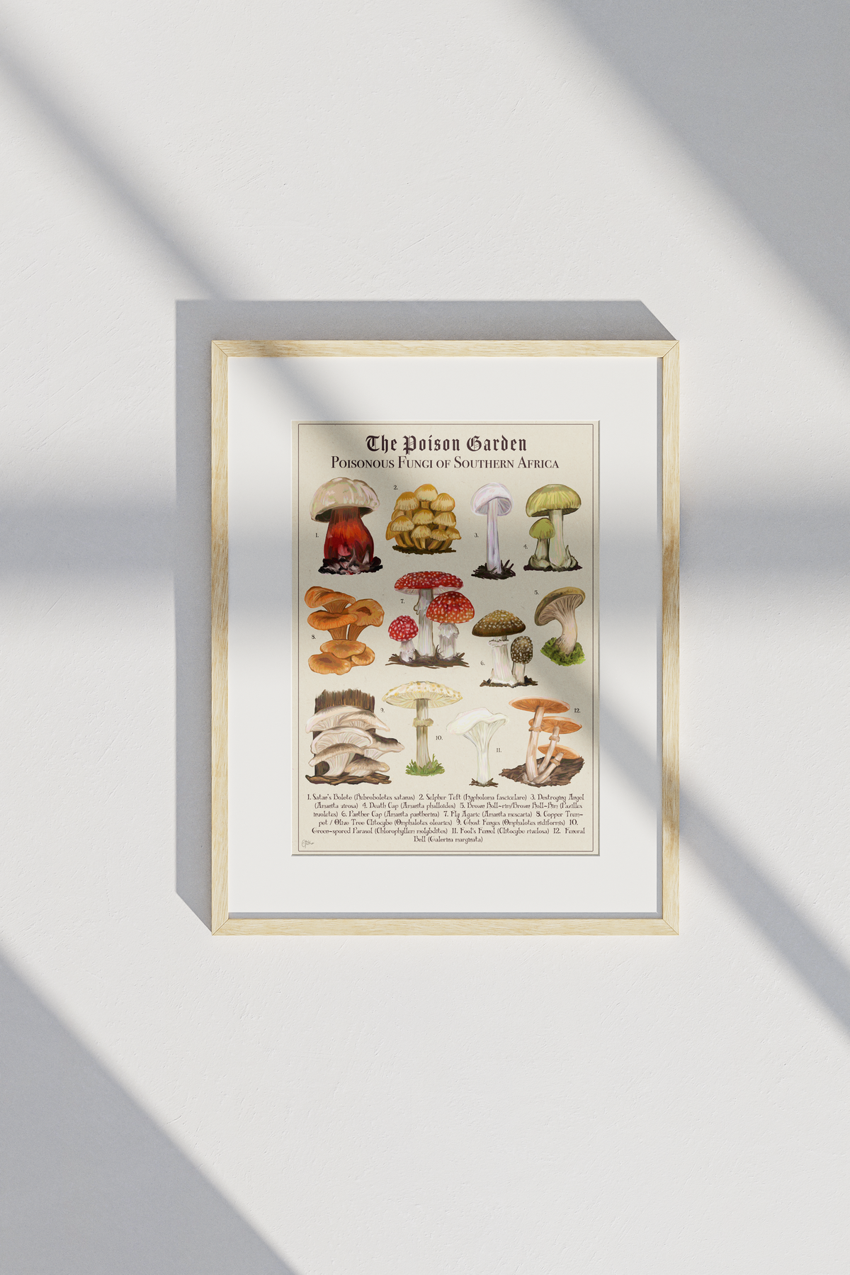 The Posion Garden: Poisonous Fungi of Southern Africa | Botanical Illustration | Art Print