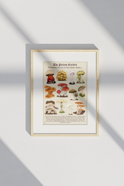 The Posion Garden: Poisonous Fungi of Southern Africa | Botanical Illustration | Art Print