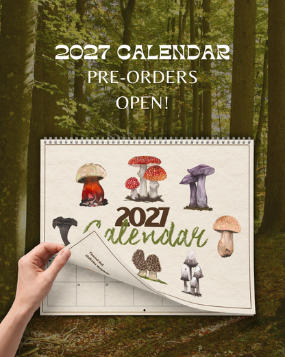 2027 Fungi of Southern Africa Wall Calendar | Fungi Illustrations