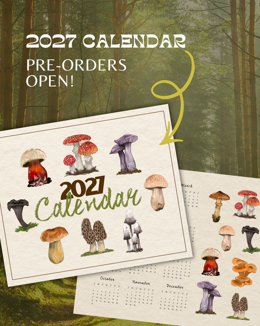 2027 Fungi of Southern Africa Wall Calendar | Fungi Illustrations