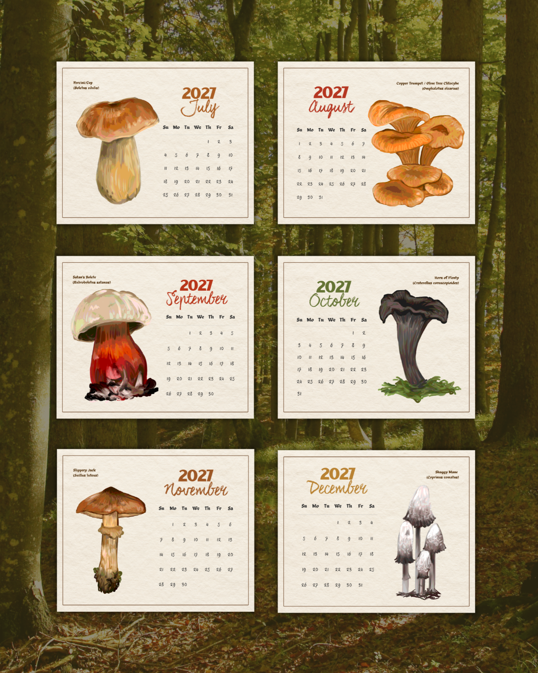 2027 Fungi of Southern Africa Wall Calendar | Fungi Illustrations