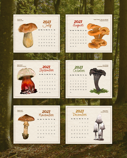 2027 Fungi of Southern Africa Wall Calendar | Fungi Illustrations