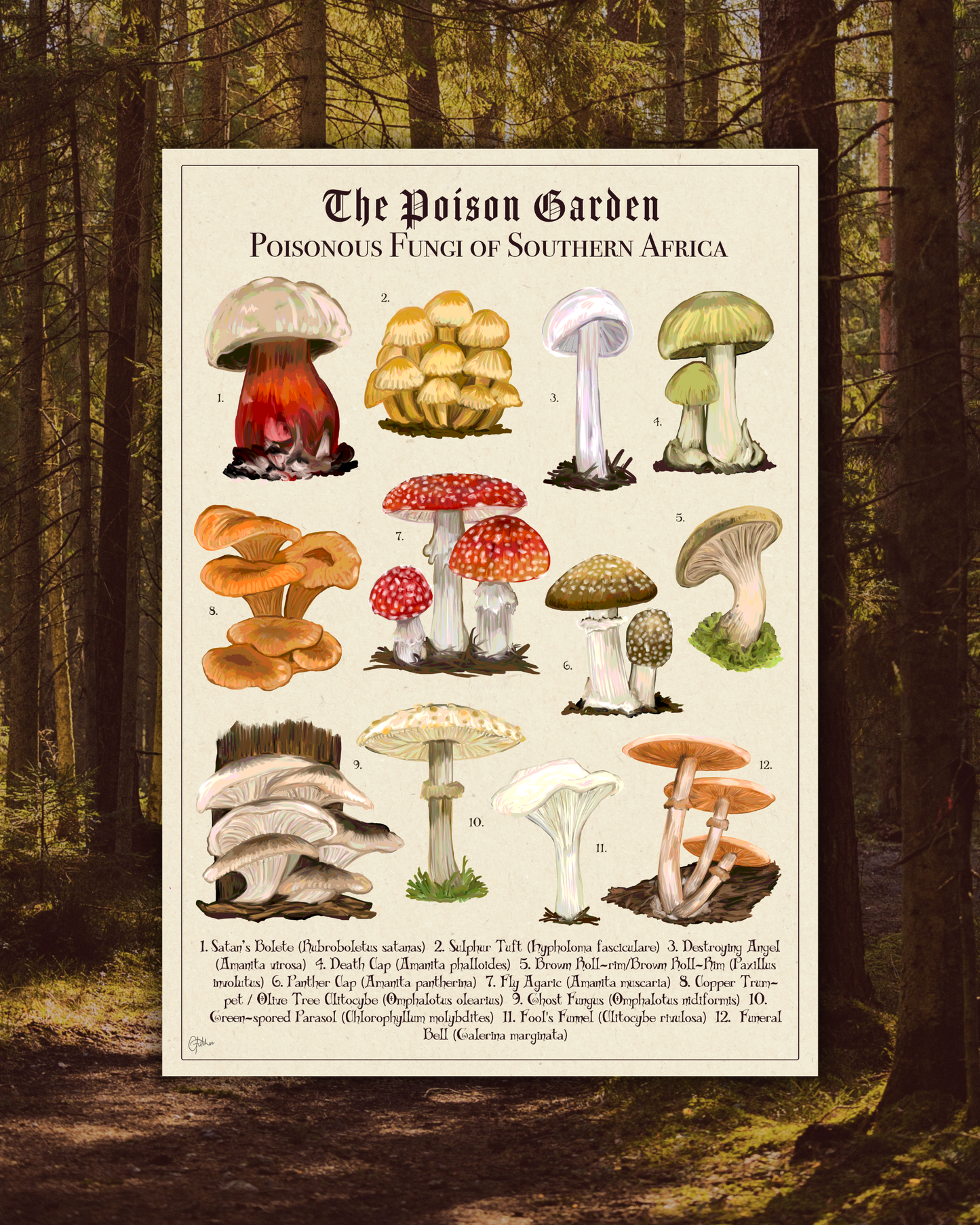 The Posion Garden: Poisonous Fungi of Southern Africa | Botanical Illustration | Art Print