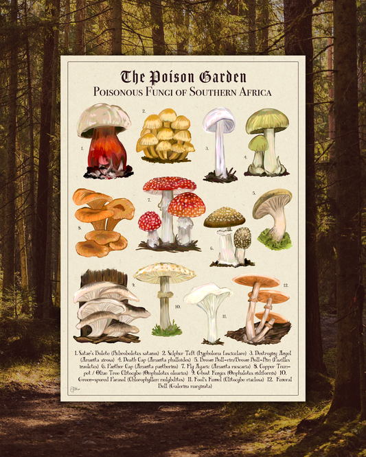 The Posion Garden: Poisonous Fungi of Southern Africa | Botanical Illustration | Art Print