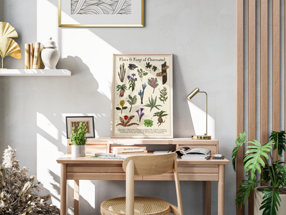 Flora & Fungi of Morrowind Part 2 | Botanical Illustration Fan Art | Art Print