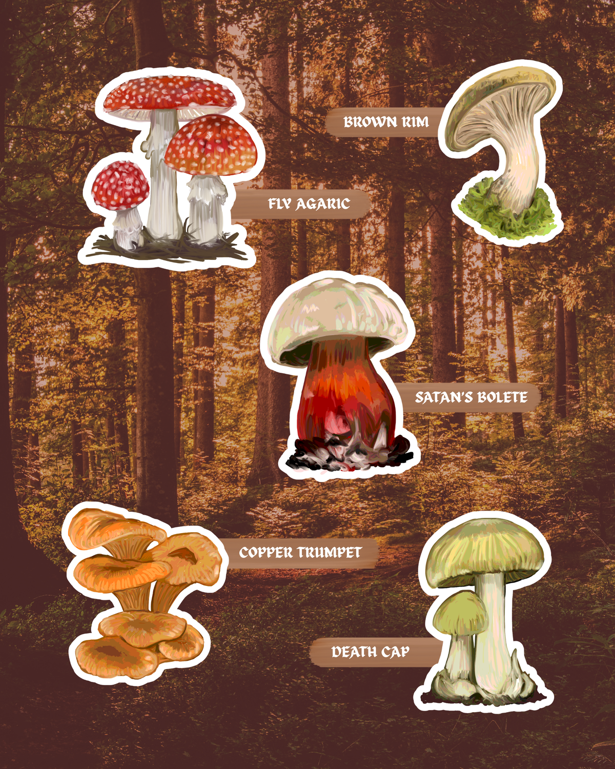 The Poison Garden | Poisonous Fungi of Southern Africa | Sticker Pack