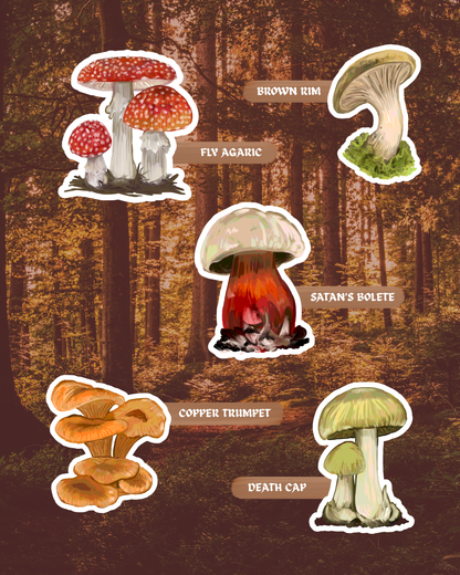 The Poison Garden | Poisonous Fungi of Southern Africa | Sticker Pack