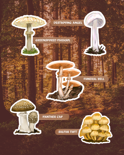 The Poison Garden | Poisonous Fungi of Southern Africa | Sticker Pack