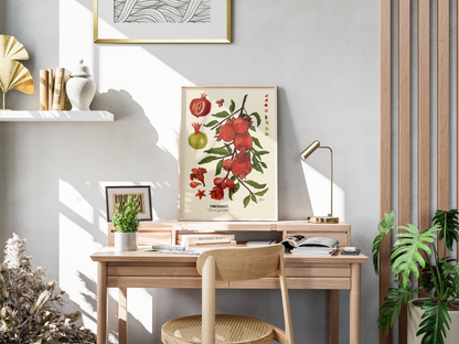 Pomegranate | Botanical Illustration | Art Print