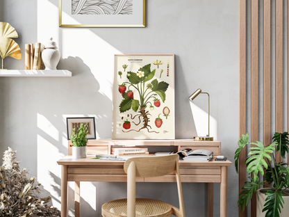Garden Strawberry | Botanical Illustration | Art Print