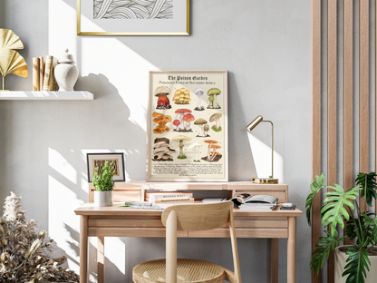 The Posion Garden: Poisonous Fungi of Southern Africa | Botanical Illustration | Art Print